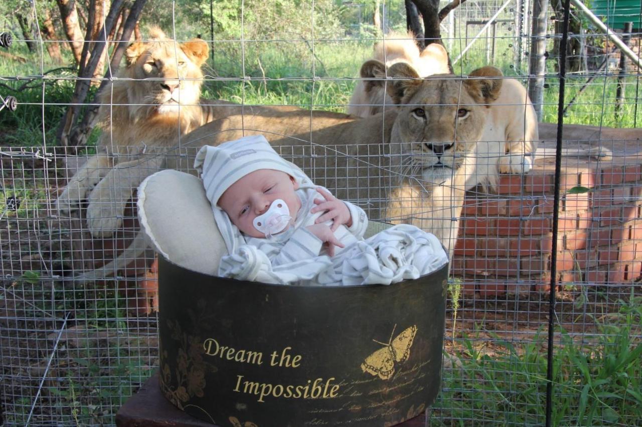 Simba Safaris African Pride Exotic Lodge Lephalale Exterior foto