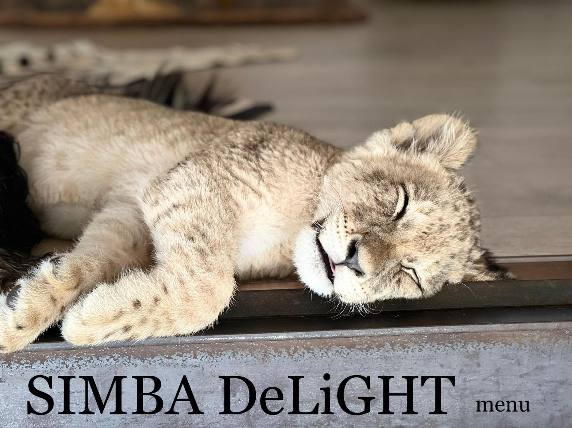 Simba Safaris African Pride Exotic Lodge Lephalale Exterior foto