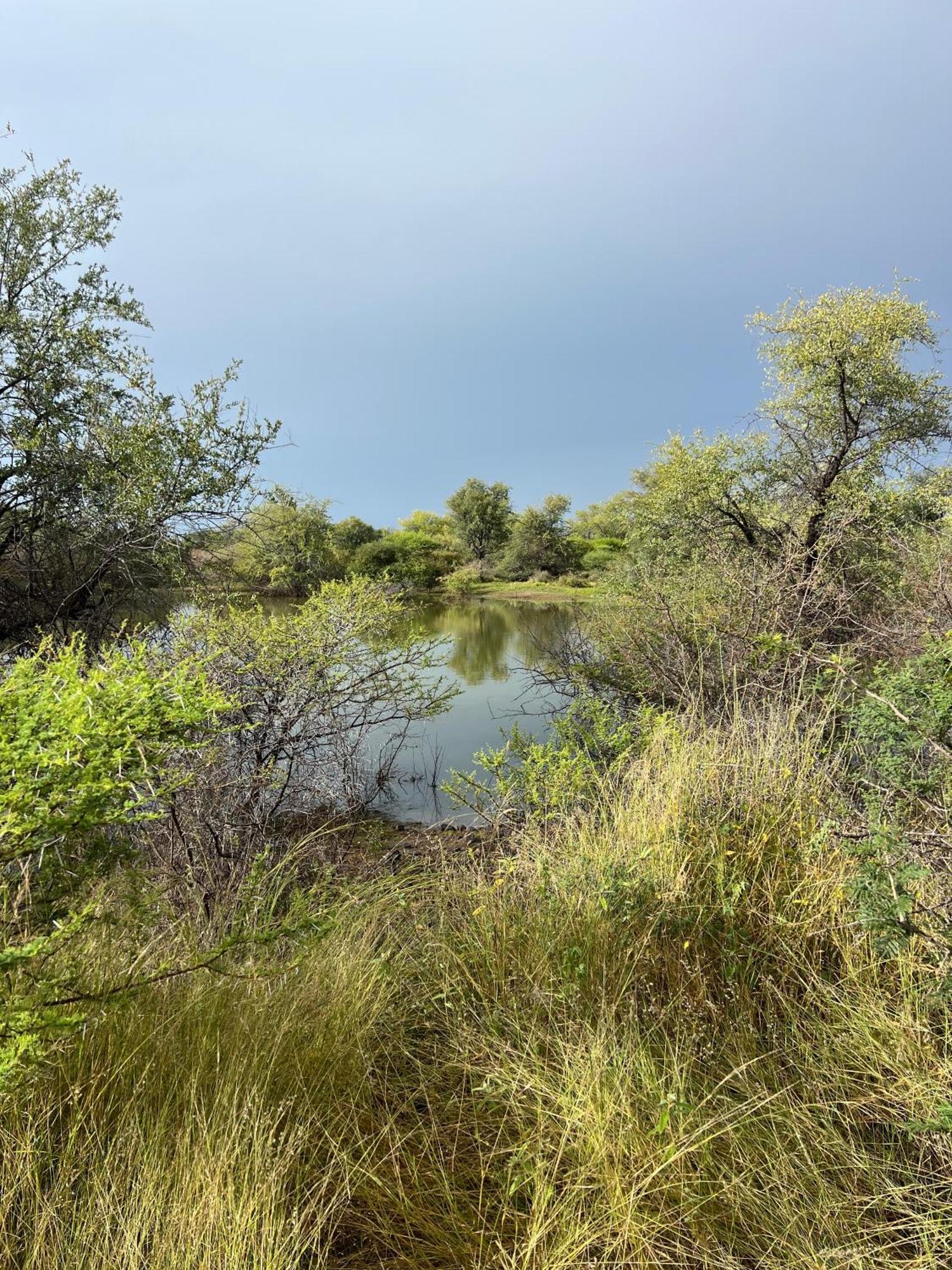 Simba Safaris African Pride Exotic Lodge Lephalale Exterior foto